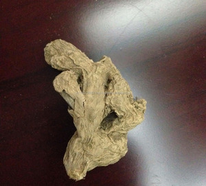 WHOLE <b>DRIED</b> GINGER Fiber FROM VIETNAM - Product Image 3