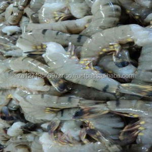 Crevettes blanches surgelées de haute qualité d'origine sud-africaine, sans peau, épluchées, queue sous vide, crevettes à prix avantageux - Product Image 1