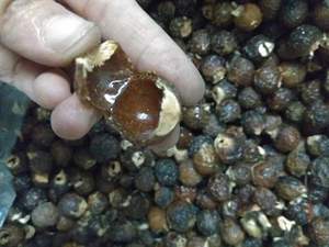 Noix de savon en gros au meilleur prix pour 2021 - Product Image 6