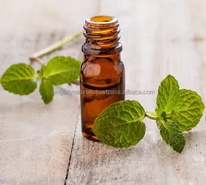 Manufacture of Peppermint Oil from India