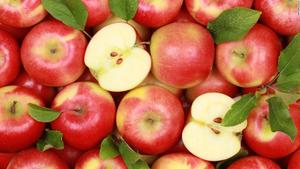 Manzanas Red Delicious Frescas de Nueva Cosecha, Grado 1, Sudáfrica, 1 Año de Vida Útil, Precio Bajo de Fábrica en Alta Calidad - Product Image 3