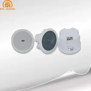 RH-AUDIO POE מגבר רמקול עם RJ45 רשת תקרת רמקול