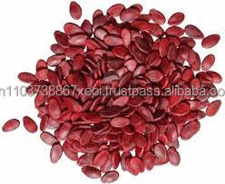 Meilleur Prix Produits Agricoles Noix de Pastèque - Product Image 5