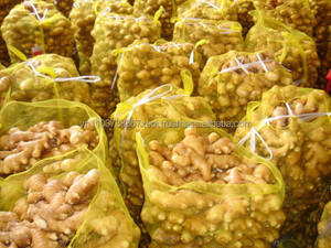 Gingembre frais biologique cultivé en grande quantité à prix compétitif au Vietnam - Product Image 6