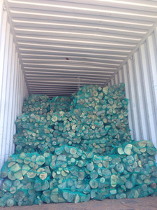 KILN leña seca en bolsas de red, bolsas de polipropileno de BULGARIA - Product Image 3