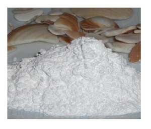 FOURNISSEUR POUDRE DE COQUILLE DE MER/VIET NAM - Product Image 6