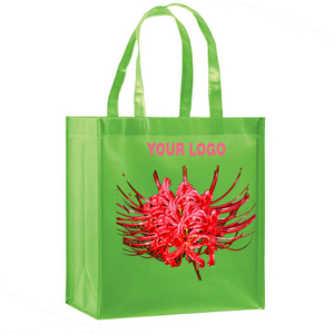 HOA HA PP Bolsa de compras no tejida Vietnam Hoaha - Product Image 1