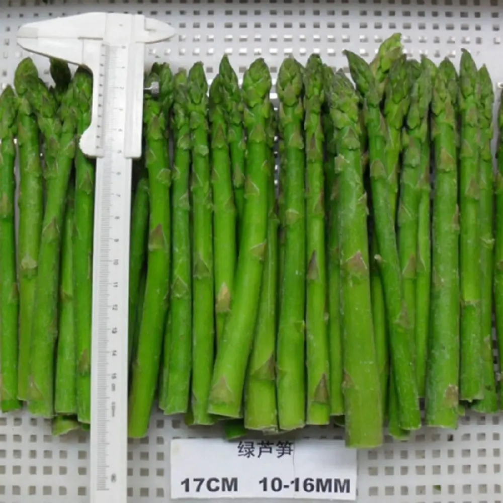 Pabrik Cina Pemasok Produsen Udara Terbuka Asparagus Putih Beku IQF