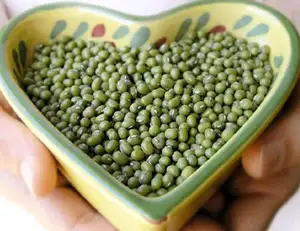 Fresh round green mung bean price