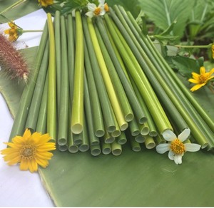 Pailles à boire en herbe naturelle en gros, sans plastique, écologiques - Product Image 1