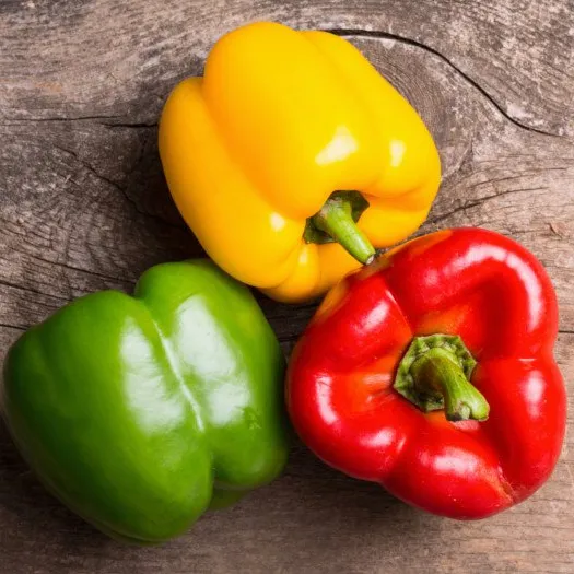 FRESH CAPSICUM Organic Sweet Bell Pepper