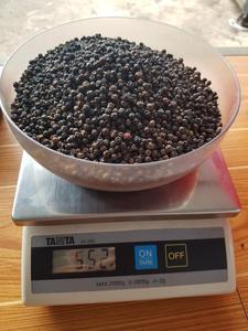 Poivre noir séché, herbe entière, goût épicé, forme ronde, traitement brut, processus de séchage, style poivre moulu - Product Image 3