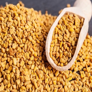 Best Price 99% Pure Organic Hygienic Fenugreek Seed Singapore Europe Quality Dried <b>Herb</b> Granule Pattern Quality <b>Spice</b> <b>Product</b> - Product Image 2