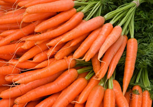 CAROTTE FRAICHE DE QUALITE EXPORT A BON PRIX - Product Image 4