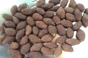 ถั่วมาลวา อร่อยและมีคุณค่าทางโภชนาการ - Product Image 6