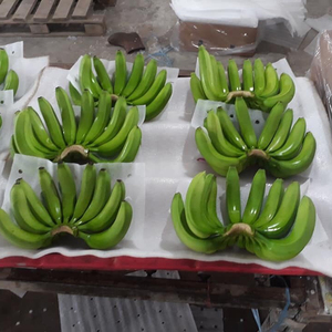Bananas frescas al por mayor en caja de cartón de vacaciones - Product Image 2