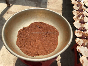 เห็ดหลินจือเห็ด /Reishi เห็ดผง/เห็ดหลินจือเห็ดสารสกัดจาก - Product Image 3