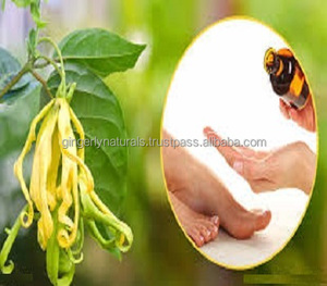 Ylang-ylang-Proveedores de aceite - Product Image 3