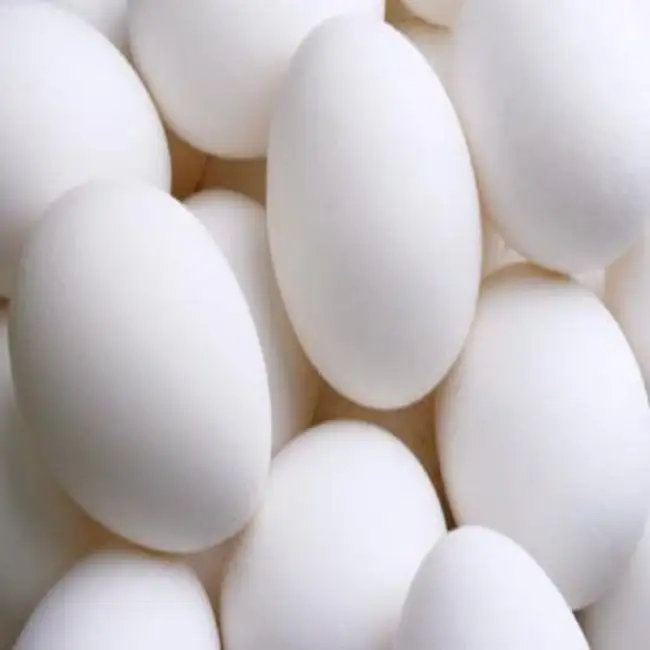 Белые куры несут белые яйца. Белая оболочка в яйце. Супер яйцо. Яйцо куриное белое подложное. Яйца Советск.