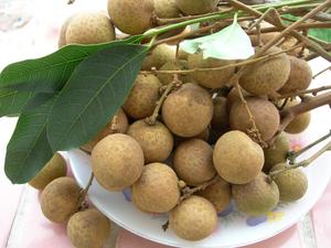 Longan Enlatado / Longan Seco Nueva Cosecha Vietnam - Product Image 5