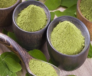 최고의 가격 moringa 잎 분말 재고 있음