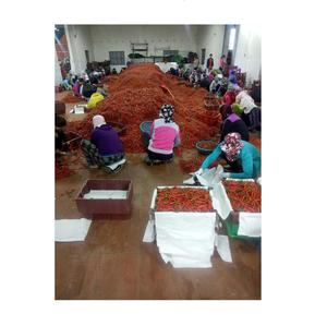 พริกพริกไทย/พริกแดงที่ดีที่สุดราคา - Product Image 2