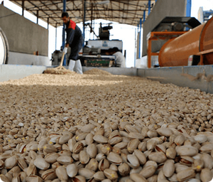 Pistachos Crudos Secos de Alta Calidad, 1 kg, Suministro a Granel, de Sudáfrica, Buen Precio, Producto Alimenticio en Venta - Product Image 5