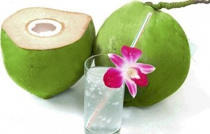 Fabricante de Vietnam, 330ml, lata elegante de alu, agua de coco brillante orgánica - Product Image 3