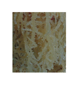 Hotsale naturel eucheuma cottonii/ eucheuma cottonii de l'usine - Product Image 1