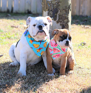 Fabricante indio al por mayor algodón perro Bandana Animal ecológico ropa para mascotas accesorios Primavera Verano invierno Navidad - Product Image 3