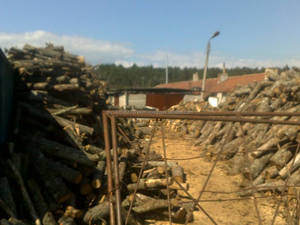 ฟืนแห้งจากบัลแกเรียสำหรับผลิตภัณฑ์ที่เกี่ยวข้องกับพลังงานของเบลเยี่ยม - Product Image 3