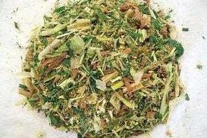 ENSILAGE DE MAÏS/ENSILAGE DE CÉTOUT/RESIDUS AGRICOLES - Product Image 4