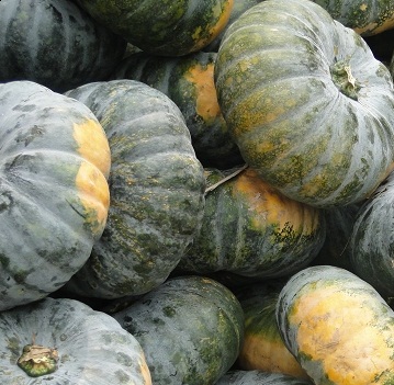 Замороженная Тыква по лучшей цене и высокого качества во Вьетнаме