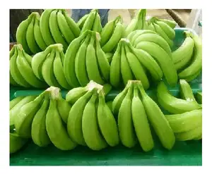 SUPPLIER CAVENDISH BANANA WITH CHEAP PRICE/ VIETNAM