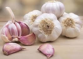 กระเทียมแห้ง/อบแห้ง - กระเทียมแห้งคุณภาพพรีเมี่ยม พืชใหม่ในราคาถูกที่สุดจากเวียดนาม 2024 - Product Image 6