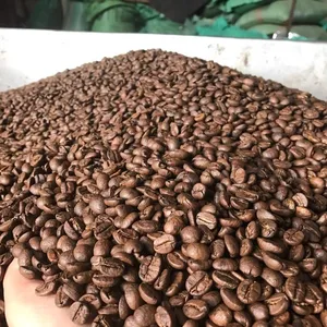 Biji kopi ROBUSTA panggang alami biji Arabika + 84796855283