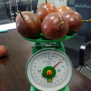 Mejor Precio en Maracuyá Fresca de Color Morado Oscuro Importada en 2020 - Product Image 2