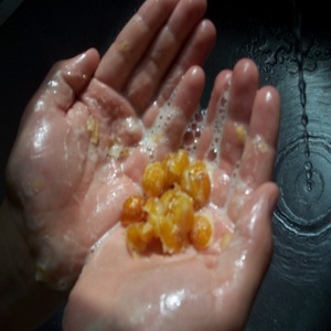 GMP Certified Organic Soapberry Sapindus Mukorossi Extract Powder Halal Shell Available Glass Container <b>Plastic</b> Bottle <b>Mason</b> <b>Jar</b> - Product Image 3