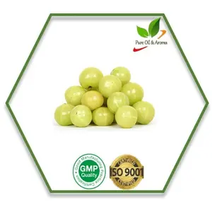 Produttore di olio di trasporto amla puro e naturale fornitura sfusa di oli di trasporto di buona qualità dall'india