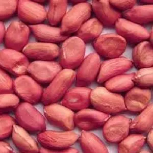 Best Quality Groundnuts In Shell For Sale