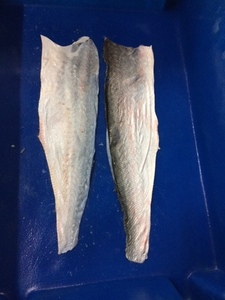 ปริมาณปลาดุกจำนวนมากสำหรับผู้นำเข้า - Product Image 4