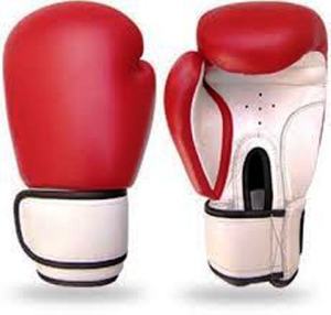 Gants de MMA en cuir véritable Wolon de haute qualité avec logo personnalisé, fermeture à crochets et boucles, légers, équipement d'entraînement professionnel ODM/OEM - Product Image 1