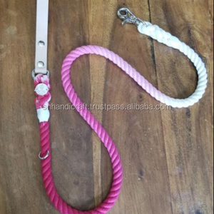 Double Ombre Dog Leash Puppy Leash - Product Image 1