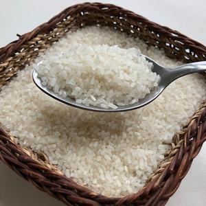 ข้าวหอมมะลิ100% หักราคาดีสำหรับการขาย - Product Image 5