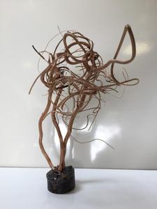 אביזרי ננו אקווריום עצי סחף - Product Image 3