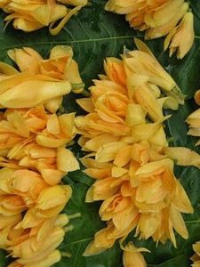 100% Pure Natural Nag Champa Premium <b>Perfume</b> Oil High Quality <b>Attar</b> for Scent Lovers - Product Image 3