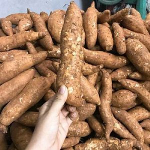 PROVEEDOR DE VIETNAM PATATA DULCE/ÑAME DE ALTA CALIDAD CON BUEN PRECIO - Product Image 2