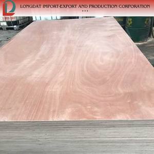 Contreplaqué de ponçage du Vietnam 2 fois pressé à chaud conforme aux normes d'émission de formaldéhyde E2 - Product Image 2