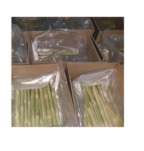 คุณภาพสูงสดอ้อยสำหรับน้ำผลไม้สำหรับฤดูร้อน - Product Image 1