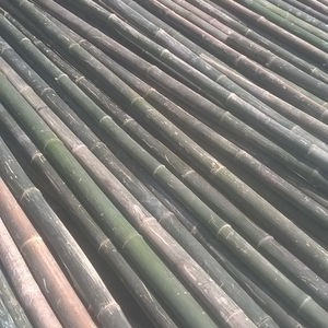 WHOLESALE <b>BAMBOO</b> POLES <b>BAMBOO</b> <b>CANES</b> BAMBUS - Product Image 1